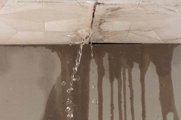 Professional Burst Pipe Cleanup technician working in Adelphi, OH